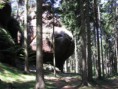 /album/foto18/img-9265-jpg/